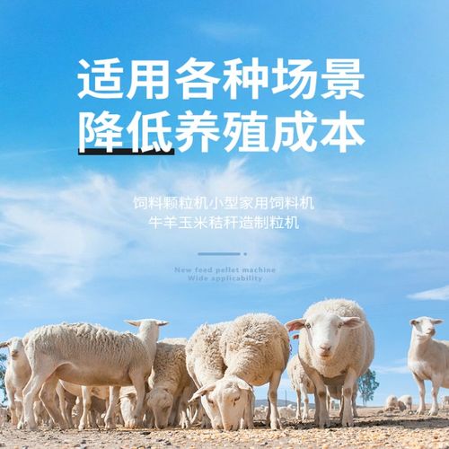 提升家禽养殖效益的利器 平模青饲草造粒机与颗粒饲料机应用指南