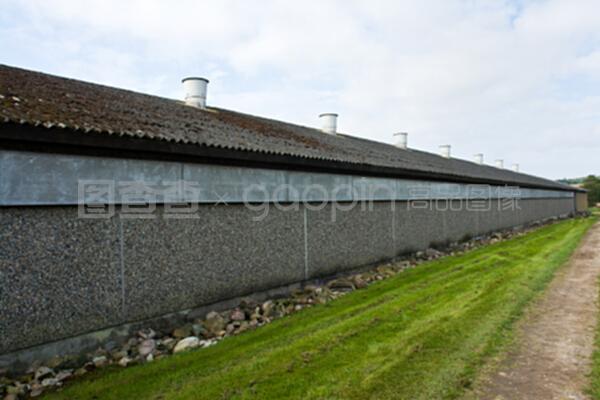 现代家禽养殖场 科技赋能下的家禽饲养新篇章