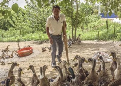 旅游农业双轮驱动 明光市乡村旅游“珍珠链”串起贫困村民好生活